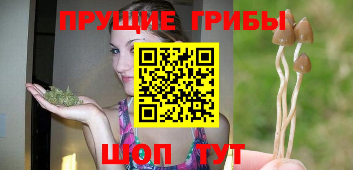 Псилоцибиновые грибы MAGIC MUSHROOMS  Вход с VPN  Торжок 
